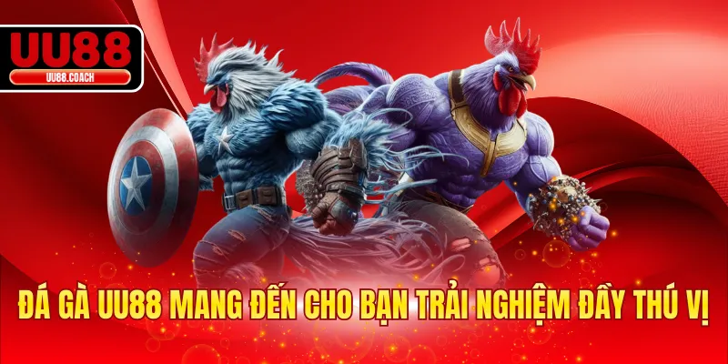 Đá gà UU88 mang đến cho bạn trải nghiệm đầy thú vị